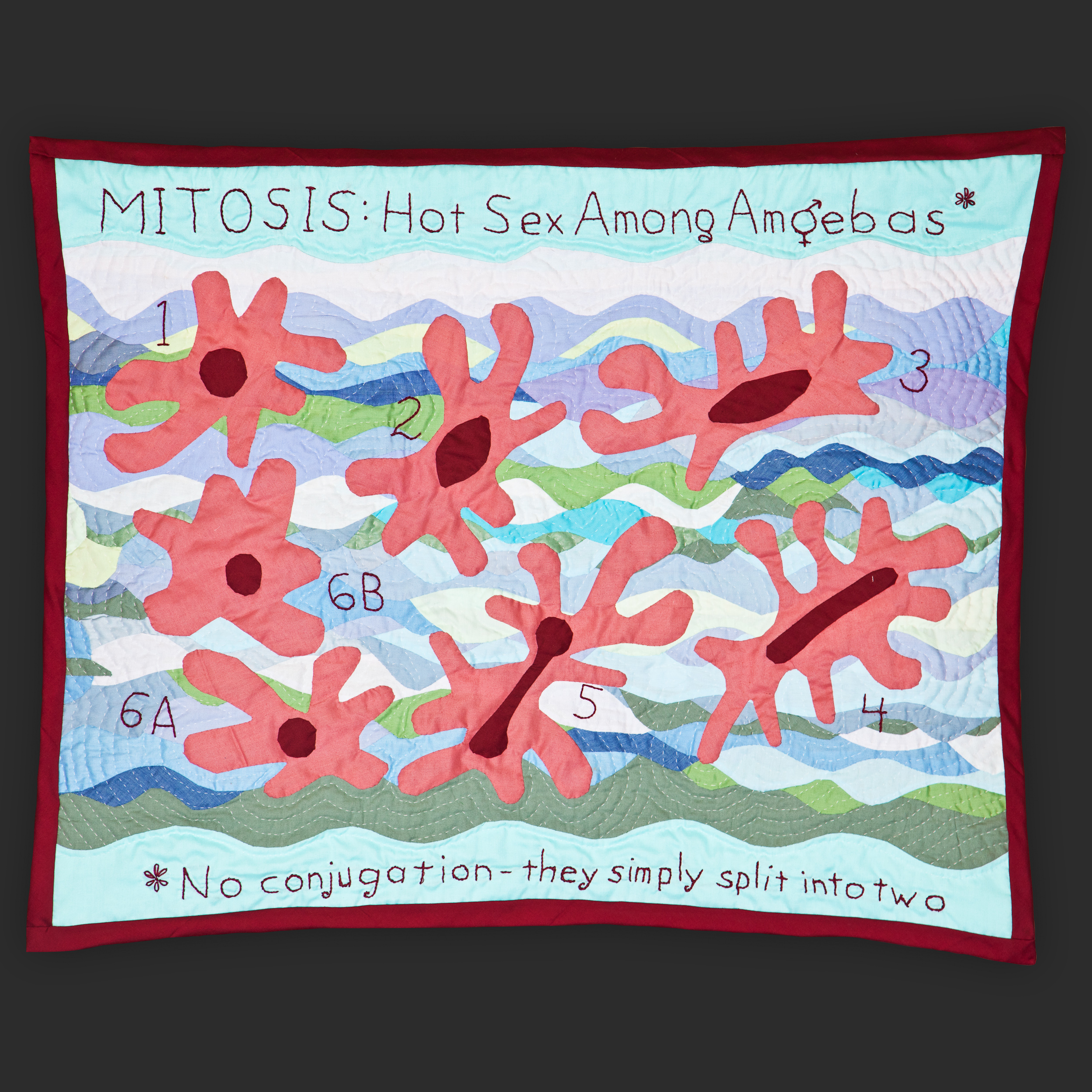 Mitosis: Hot Sex Among Amoebas
